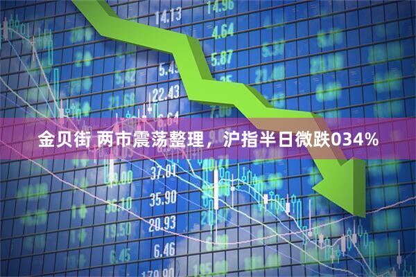 金贝街 两市震荡整理，沪指半日微跌034%