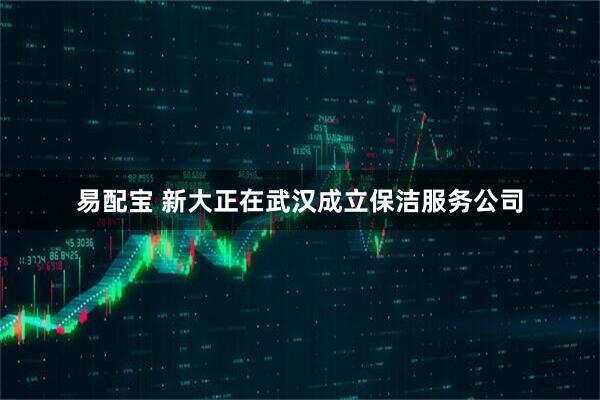 易配宝 新大正在武汉成立保洁服务公司
