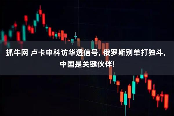 抓牛网 卢卡申科访华透信号, 俄罗斯别单打独斗, 中国是关键伙伴!