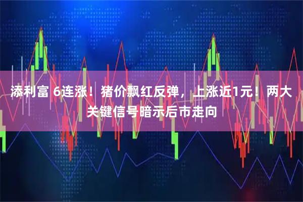 添利富 6连涨！猪价飘红反弹，上涨近1元！两大关键信号暗示后市走向